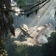 Image for article titled Crysis 3 Transforms New York City in 2013
